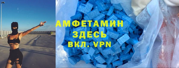 крисы Медвежьегорск