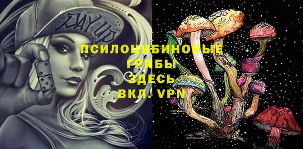 хмурый Мегион