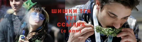 хмурый Мегион