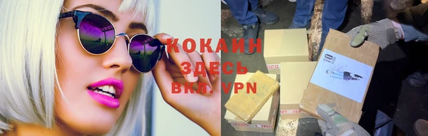 хмурый Мегион