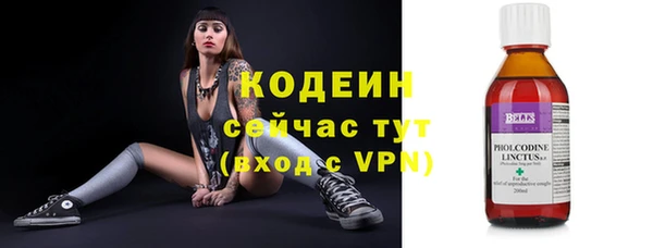 хмурый Мегион