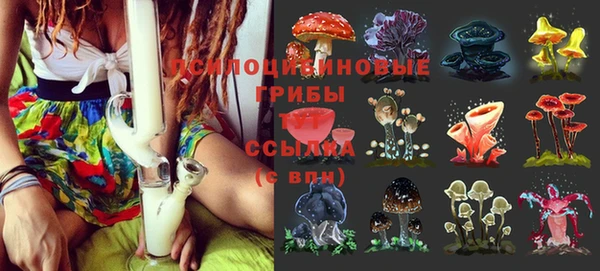 хмурый Мегион