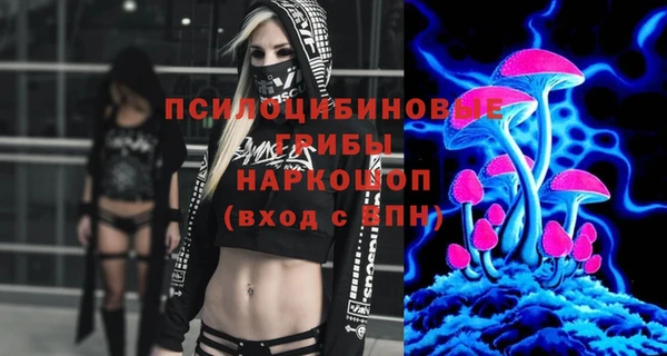 шишки Медногорск