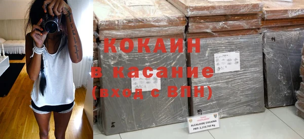 шишки Медногорск