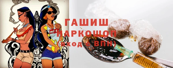 хмурый Мегион