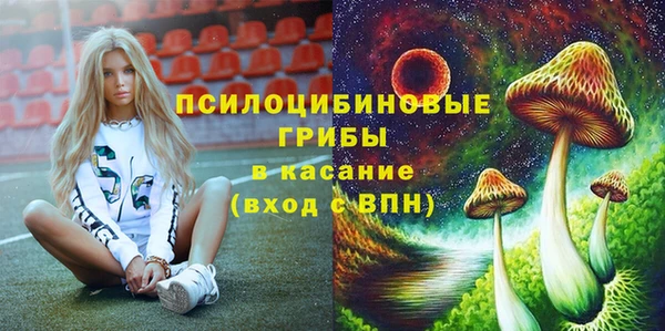 крисы Медвежьегорск