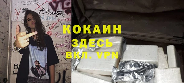 шишки Медногорск