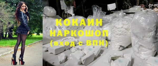 шишки Медногорск